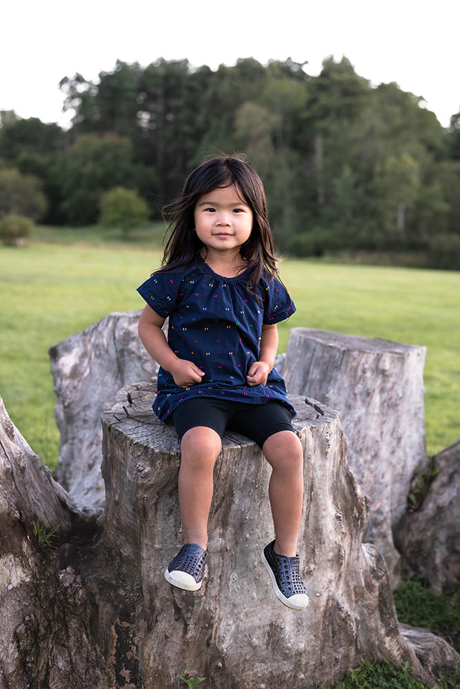 Little girl sits on a stump during family photo shoot