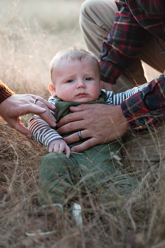 Baby sits in long grass during a family photography session in Schuylerville